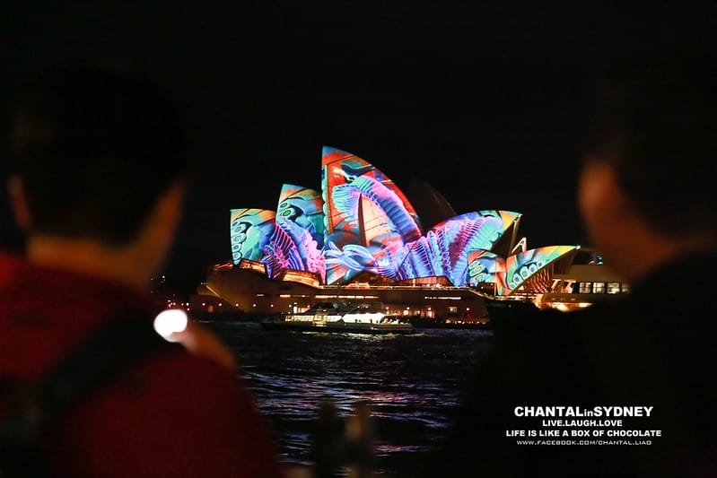 【SYDNEY。雪梨】冬天來到雪梨千萬別錯過一年一度的”VIVID Sydney”雪梨燈光秀 (雪梨歌劇院主秀) (圖多) - 第39張圖 vivid