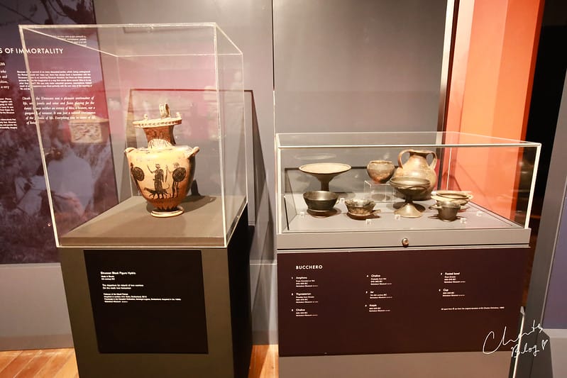【SYDNEY。雪梨】彷彿古堡般的南半球第一間大學The University of SydneyNicholson Museum尼克森博物館 - 第68張圖 雪梨大學