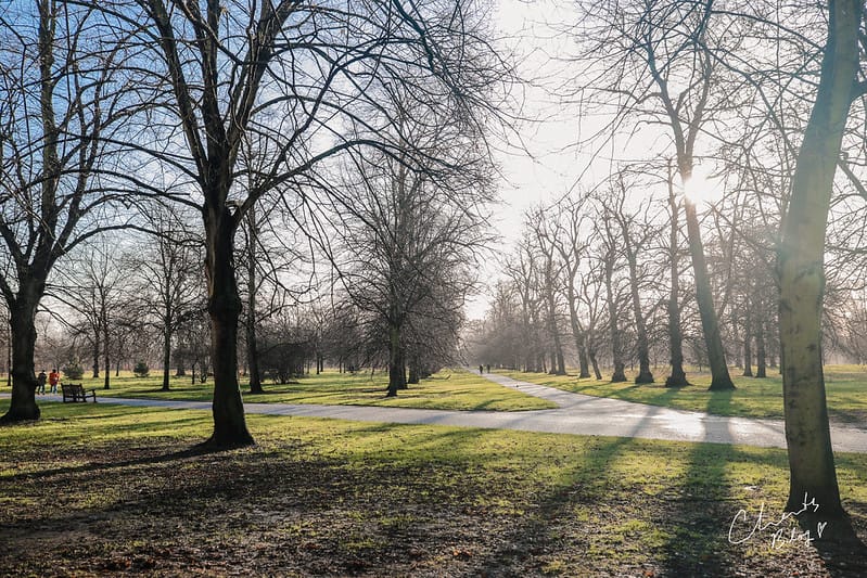【LONDON。倫敦】入住海德公園旁的傳統英式公寓The Dome Hyde Park 海德公園圓頂公寓 - 第4張圖 英國住宿