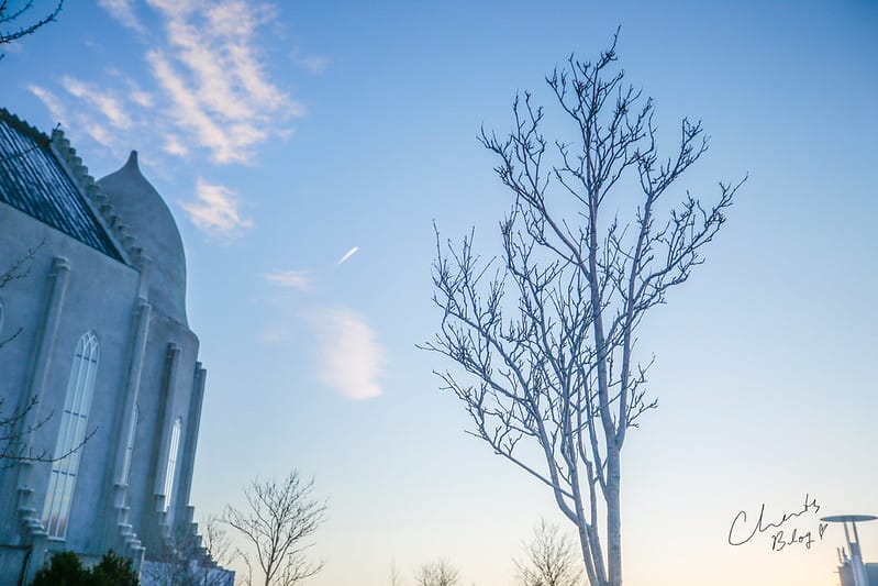 【ICELAND。冰島】雷克雅維克市區之 Hallgrimskirkja哈爾格林姆教堂、Laugaveur徒步街散步 - 第19張圖 冰島大教堂