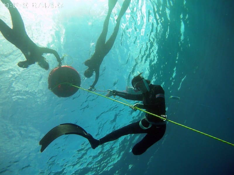 Diving