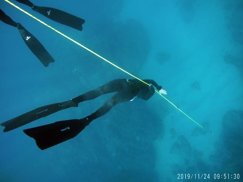 Diving