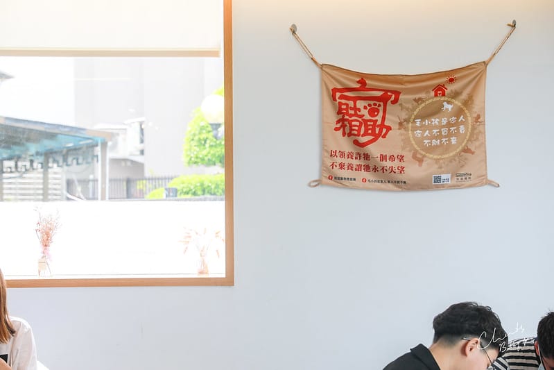 踏踏地球