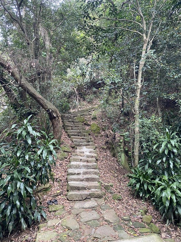 【內湖區/金面山】防疫期間與其去健身房不如去爬爬山,健康又安全 網路上紅到炸掉的金面山剪刀石 - 第6張圖 金門山