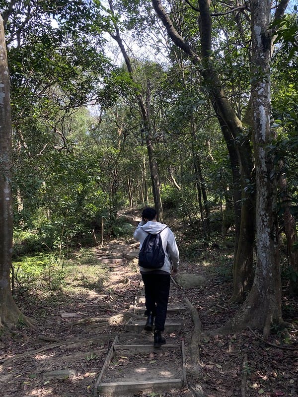 【內湖區/金面山】防疫期間與其去健身房不如去爬爬山,健康又安全 網路上紅到炸掉的金面山剪刀石 - 第10張圖 金門山