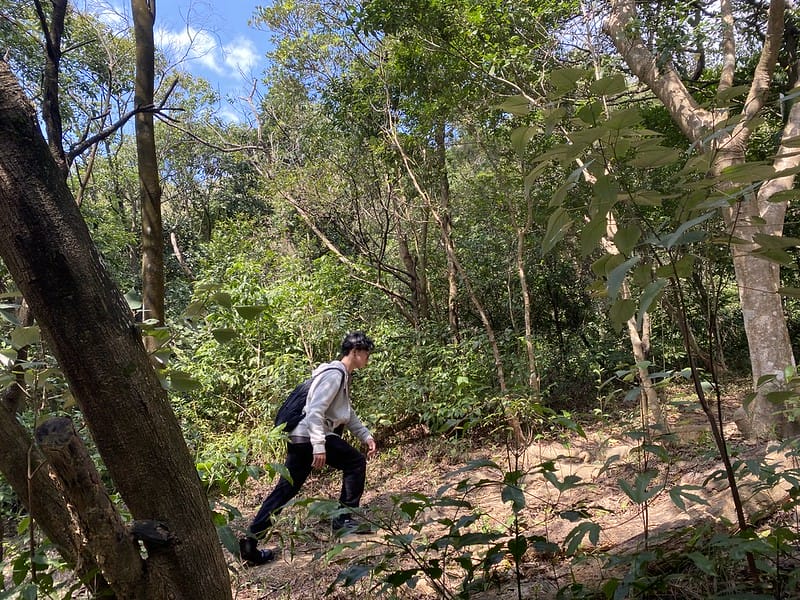 【內湖區/金面山】防疫期間與其去健身房不如去爬爬山,健康又安全 網路上紅到炸掉的金面山剪刀石 - 第9張圖 金門山