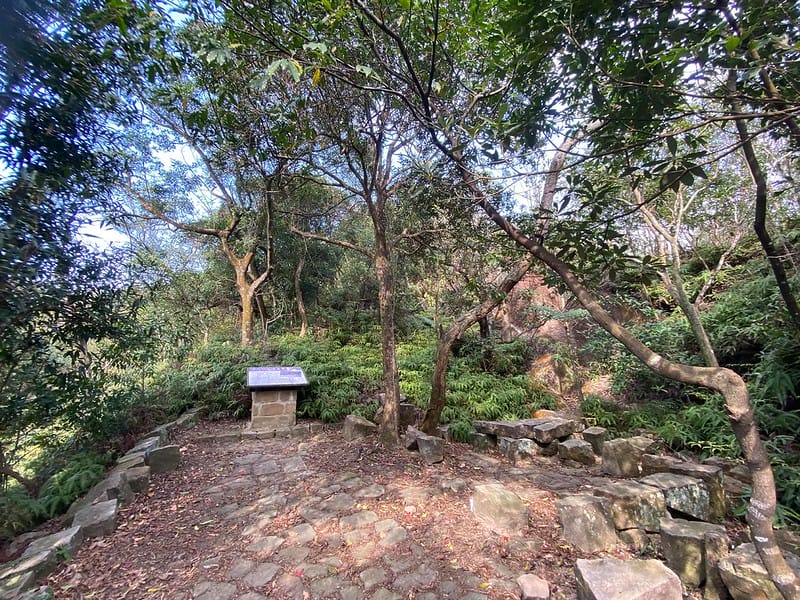 【內湖區/金面山】防疫期間與其去健身房不如去爬爬山,健康又安全 網路上紅到炸掉的金面山剪刀石 - 第39張圖 金面山