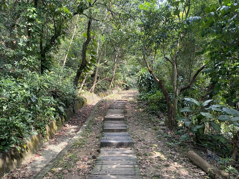【內湖區/金面山】防疫期間與其去健身房不如去爬爬山,健康又安全 網路上紅到炸掉的金面山剪刀石 - 第8張圖 金門山
