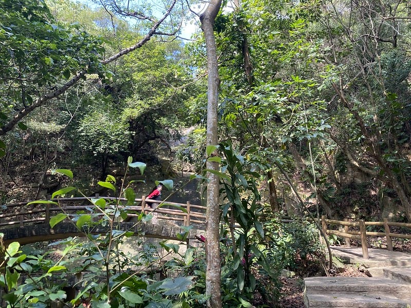 【內湖區/金面山】防疫期間與其去健身房不如去爬爬山,健康又安全 網路上紅到炸掉的金面山剪刀石 - 第5張圖 金門山