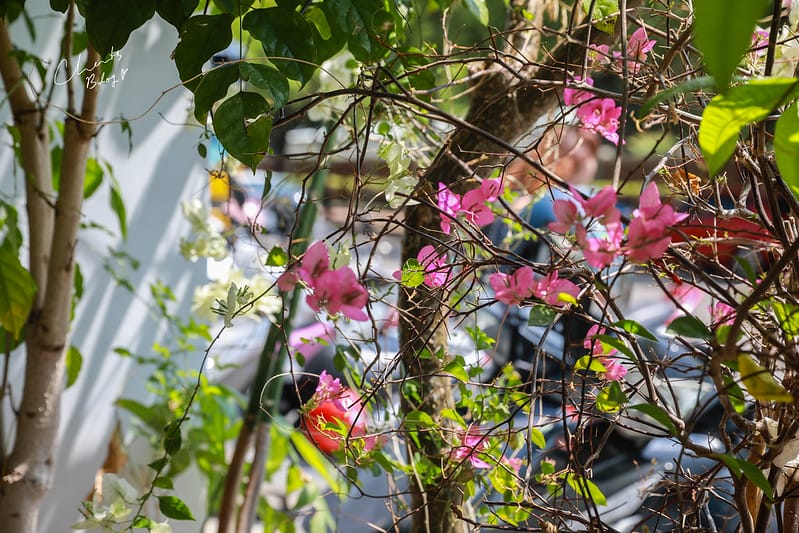 【西屯區/惠中路】純白色系、聖多里尼感的網美早餐店 CACTI吃光早午餐輕食空間 - 第11張圖 吃光