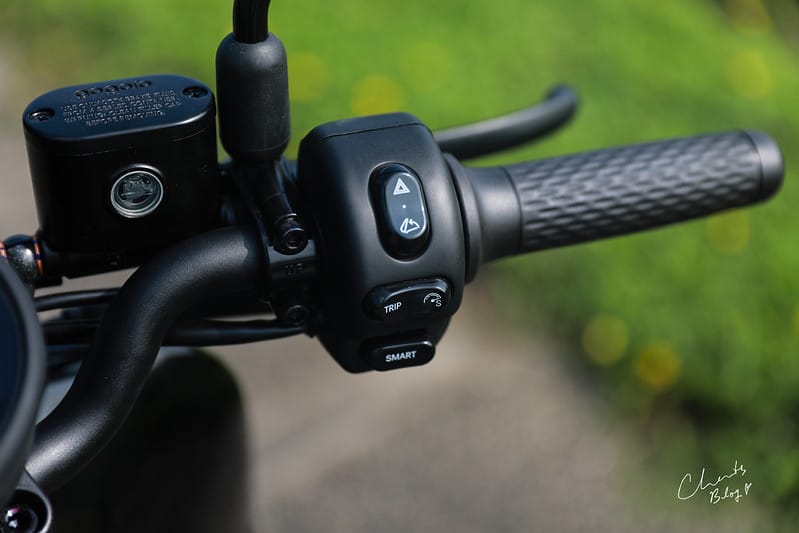 gogoro