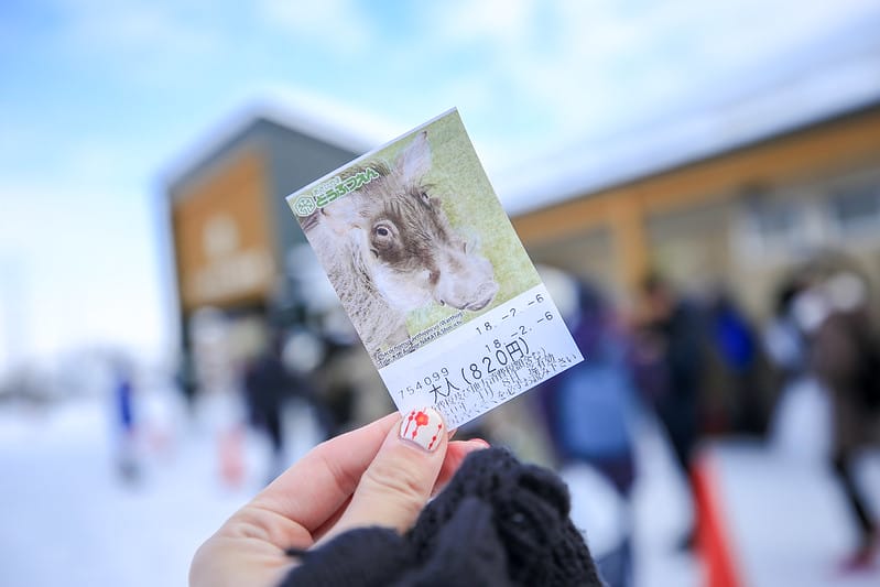 2020 到北海道千萬不要錯過!必訪!錯過會後悔的旭川動物園!!! - 第14張圖 IMG_6840-2