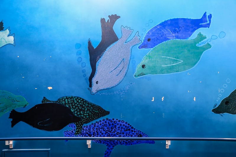 2020 到北海道千萬不要錯過!必訪!錯過會後悔的旭川動物園!!! - 第99張圖 IMG_7189-2