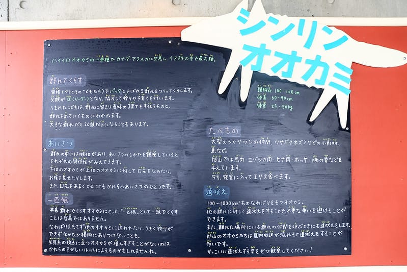 2020 到北海道千萬不要錯過!必訪!錯過會後悔的旭川動物園!!! - 第187張圖 IMG_7658-2