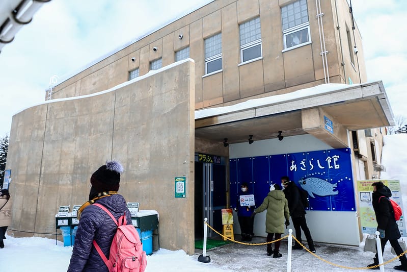 2020 到北海道千萬不要錯過!必訪!錯過會後悔的旭川動物園!!! - 第95張圖 IMG_7033-2