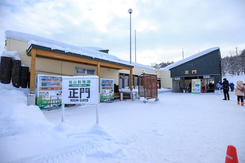 2020 到北海道千萬不要錯過!必訪!錯過會後悔的旭川動物園!!! - 第10張圖 IMG_6826-2