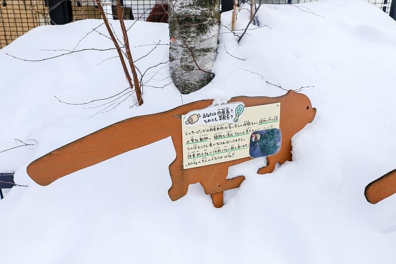 2020 到北海道千萬不要錯過!必訪!錯過會後悔的旭川動物園!!! - 第148張圖 IMG_7514-2