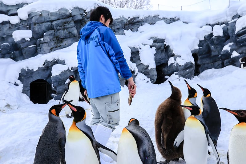 2020 到北海道千萬不要錯過!必訪!錯過會後悔的旭川動物園!!! - 第47張圖 IMG_6912-2