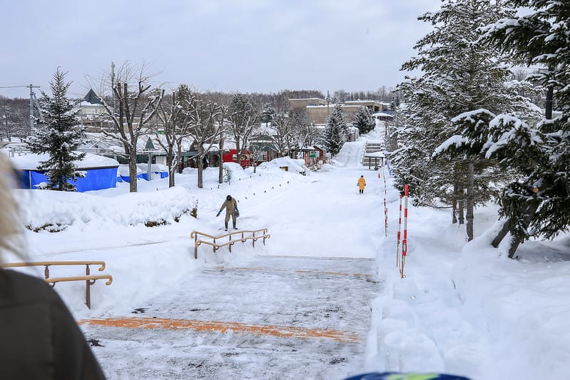 2020 到北海道千萬不要錯過!必訪!錯過會後悔的旭川動物園!!! - 第27張圖 IMG_6861-2