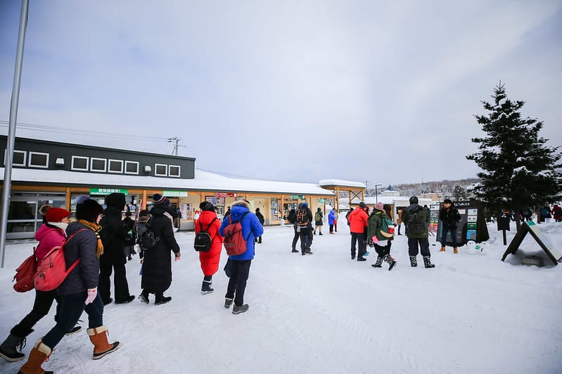 2020 到北海道千萬不要錯過!必訪!錯過會後悔的旭川動物園!!! - 第16張圖 IMG_6847-2
