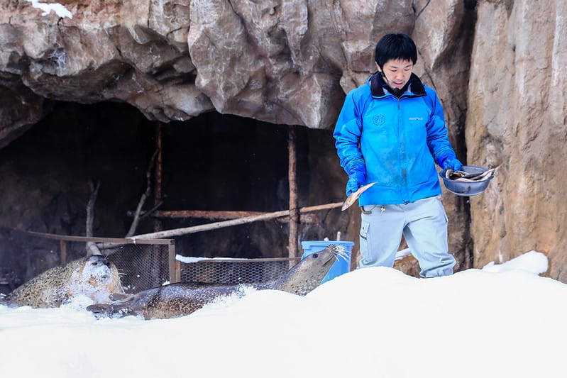 2020 到北海道千萬不要錯過!必訪!錯過會後悔的旭川動物園!!! - 第106張圖 IMG_7245-2