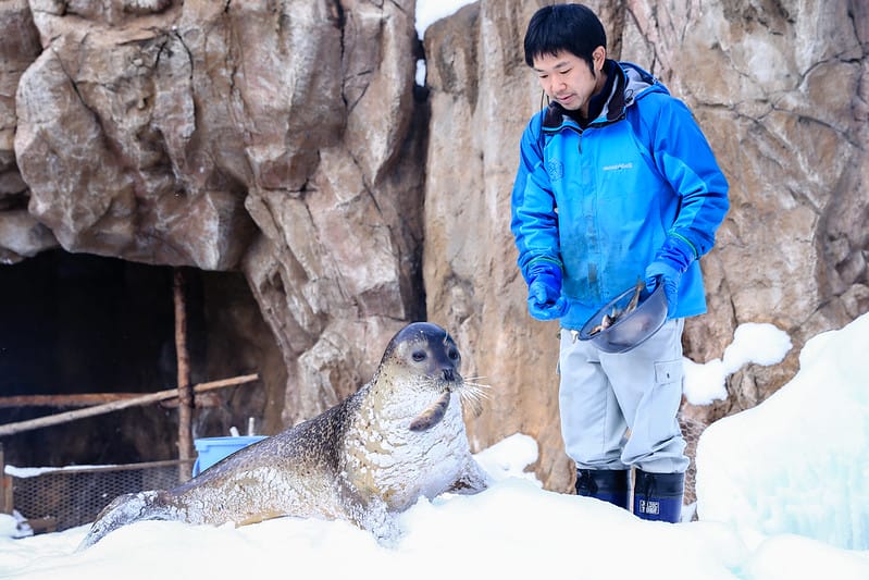 2020 到北海道千萬不要錯過!必訪!錯過會後悔的旭川動物園!!! - 第110張圖 IMG_7257-2