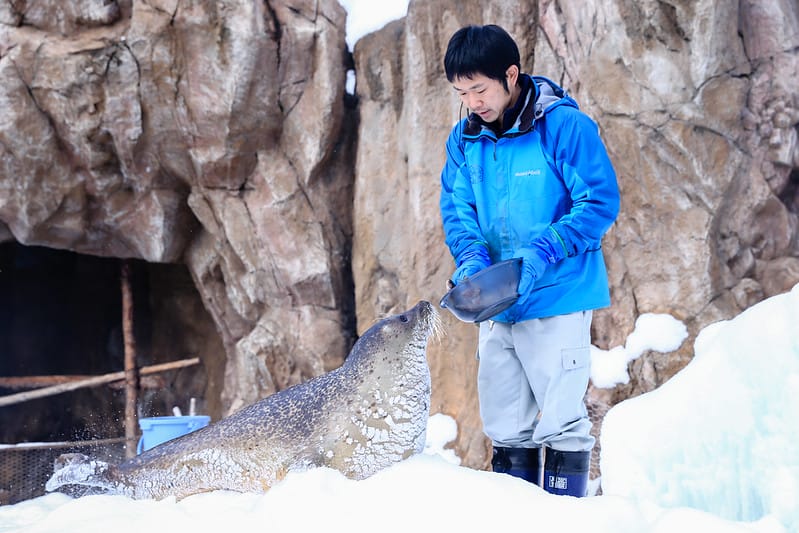 2020 到北海道千萬不要錯過!必訪!錯過會後悔的旭川動物園!!! - 第108張圖 IMG_7255-2