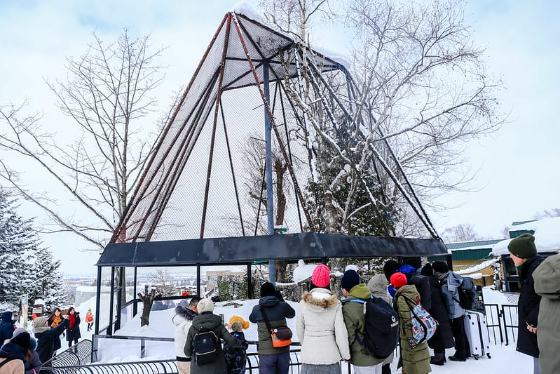 2020 到北海道千萬不要錯過!必訪!錯過會後悔的旭川動物園!!! - 第166張圖 IMG_7653-2