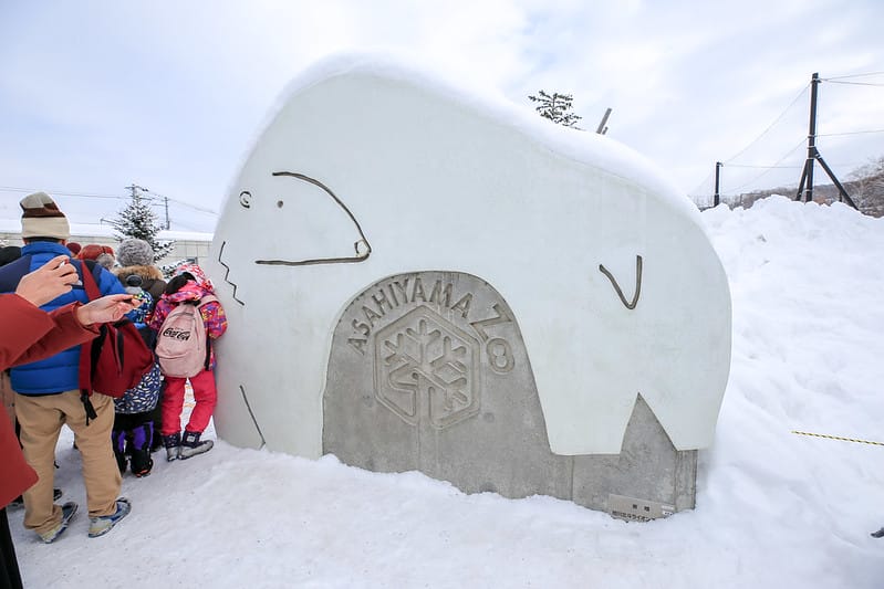 2020 到北海道千萬不要錯過!必訪!錯過會後悔的旭川動物園!!! - 第19張圖 IMG_6854-2