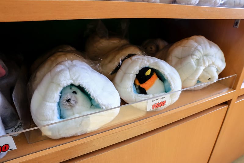 2020 到北海道千萬不要錯過!必訪!錯過會後悔的旭川動物園!!! - 第89張圖 IMG_7366-2