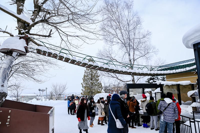 2020 到北海道千萬不要錯過!必訪!錯過會後悔的旭川動物園!!! - 第160張圖 IMG_7642-2