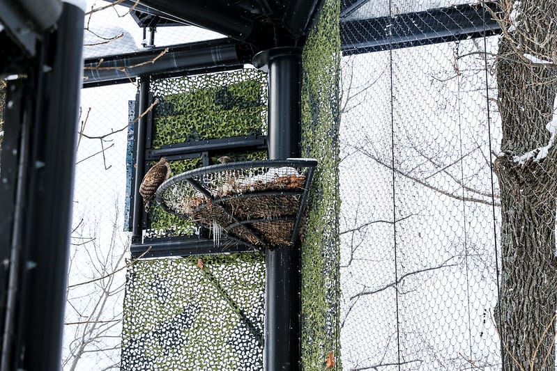 2020 到北海道千萬不要錯過!必訪!錯過會後悔的旭川動物園!!! - 第184張圖 IMG_7726-2