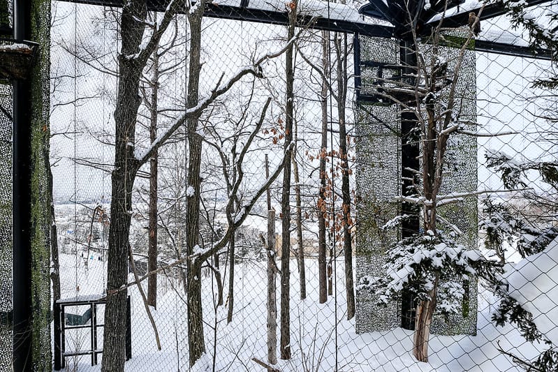 2020 到北海道千萬不要錯過!必訪!錯過會後悔的旭川動物園!!! - 第183張圖 IMG_7725-2