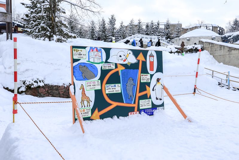 2020 到北海道千萬不要錯過!必訪!錯過會後悔的旭川動物園!!! - 第235張圖 IMG_6873-2