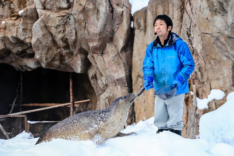 2020 到北海道千萬不要錯過!必訪!錯過會後悔的旭川動物園!!! - 第115張圖 IMG_7306-2