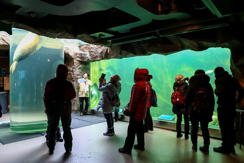 2020 到北海道千萬不要錯過!必訪!錯過會後悔的旭川動物園!!! - 第96張圖 IMG_7179-2