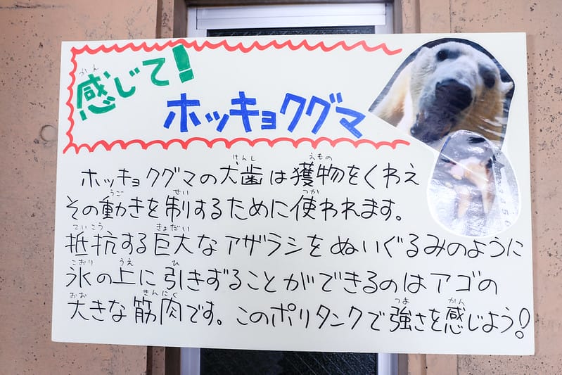 2020 到北海道千萬不要錯過!必訪!錯過會後悔的旭川動物園!!! - 第236張圖 IMG_7466-2