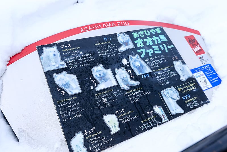 2020 到北海道千萬不要錯過!必訪!錯過會後悔的旭川動物園!!! - 第190張圖 IMG_7703-2
