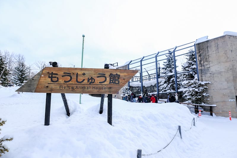2020 到北海道千萬不要錯過!必訪!錯過會後悔的旭川動物園!!! - 第226張圖 IMG_7835-2