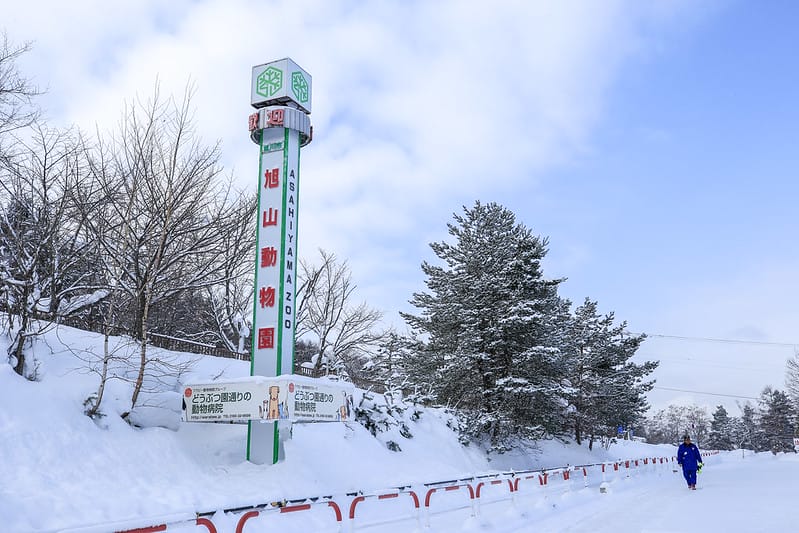 2020 到北海道千萬不要錯過!必訪!錯過會後悔的旭川動物園!!! - 第11張圖 IMG_6829-2