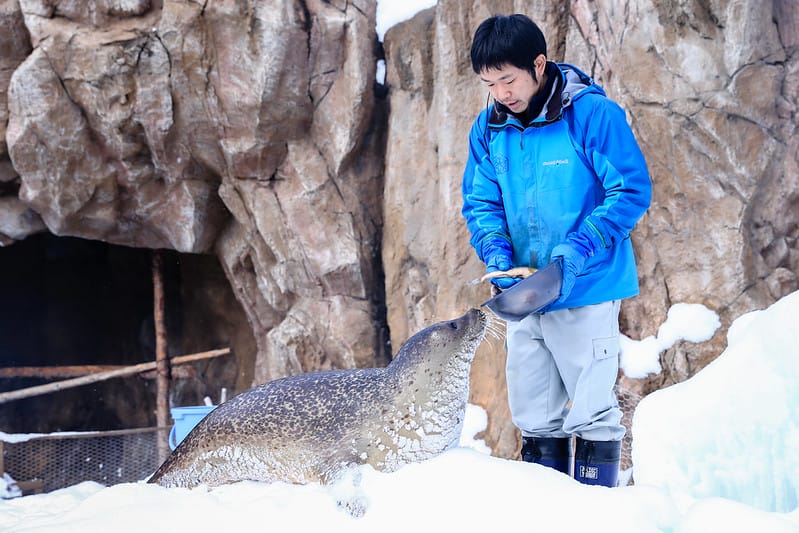 2020 到北海道千萬不要錯過!必訪!錯過會後悔的旭川動物園!!! - 第109張圖 IMG_7256-2