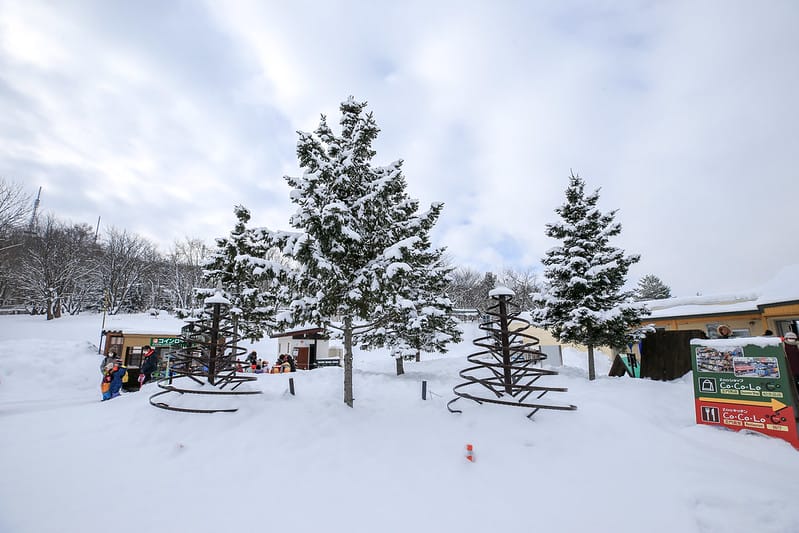 2020 到北海道千萬不要錯過!必訪!錯過會後悔的旭川動物園!!! - 第17張圖 IMG_6852-2