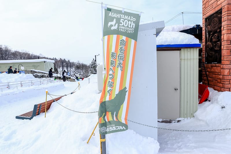 2020 到北海道千萬不要錯過!必訪!錯過會後悔的旭川動物園!!! - 第233張圖 IMG_7849-2