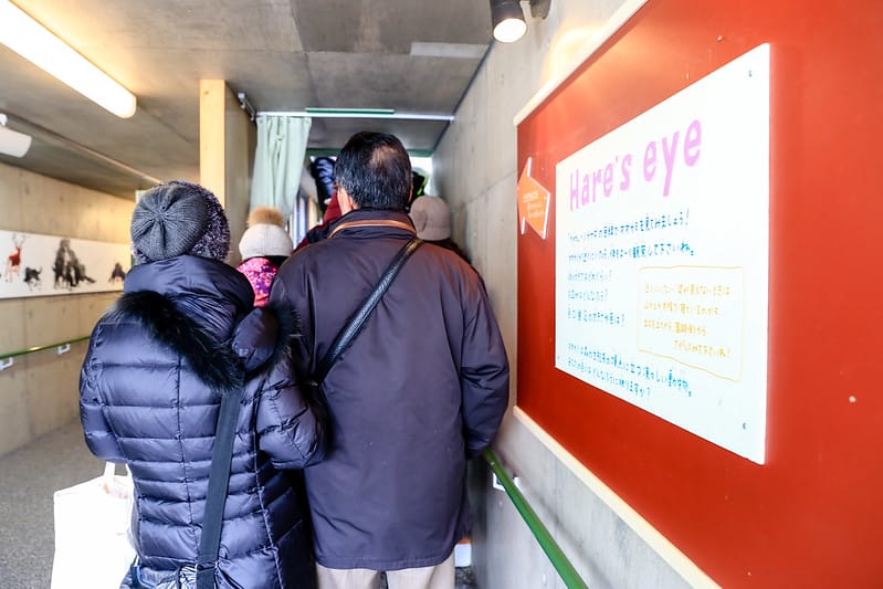2020 到北海道千萬不要錯過!必訪!錯過會後悔的旭川動物園!!! - 第189張圖 IMG_7660-2