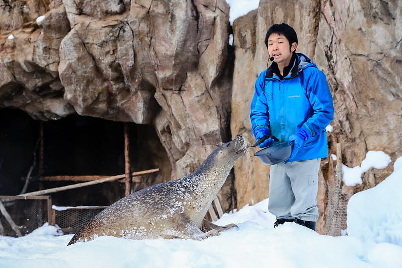2020 到北海道千萬不要錯過!必訪!錯過會後悔的旭川動物園!!! - 第114張圖 IMG_7305-2