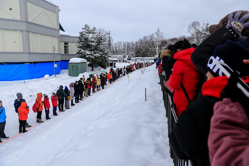 2020 到北海道千萬不要錯過!必訪!錯過會後悔的旭川動物園!!! - 第64張圖 IMG_7117-2