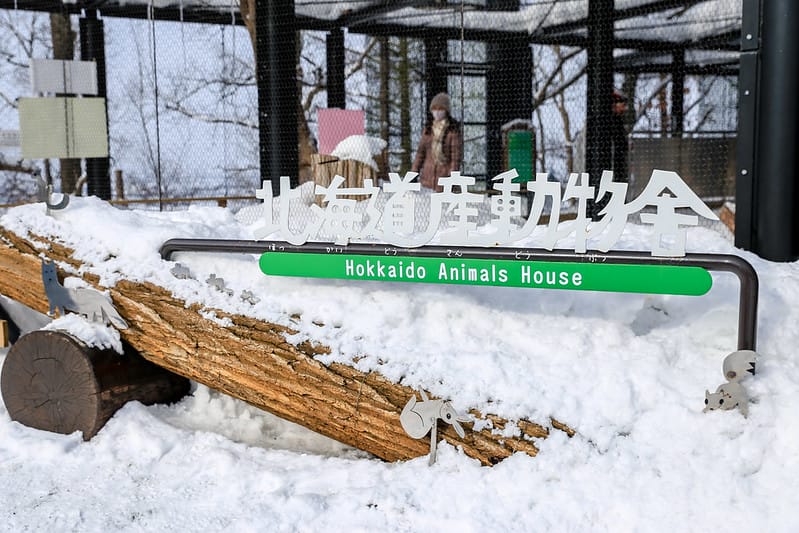 2020 到北海道千萬不要錯過!必訪!錯過會後悔的旭川動物園!!! - 第176張圖 IMG_7779-2