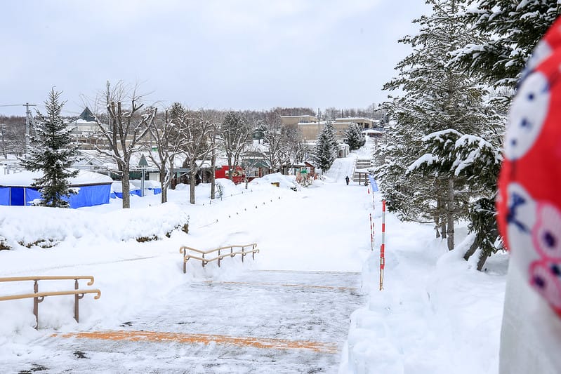 2020 到北海道千萬不要錯過!必訪!錯過會後悔的旭川動物園!!! - 第20張圖 IMG_6856-2