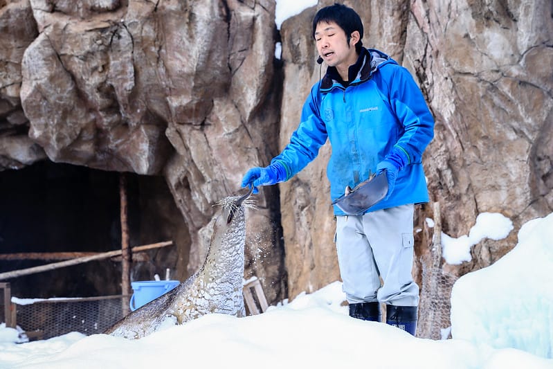 2020 到北海道千萬不要錯過!必訪!錯過會後悔的旭川動物園!!! - 第107張圖 IMG_7252-2