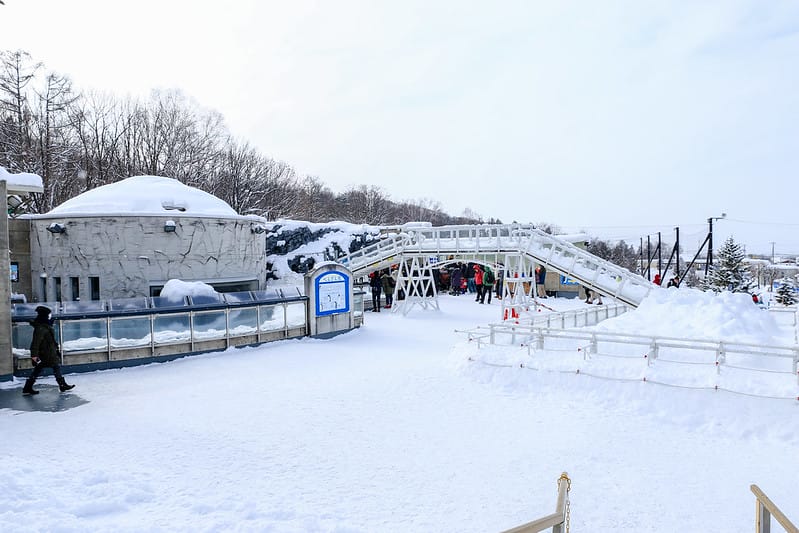 2020 到北海道千萬不要錯過!必訪!錯過會後悔的旭川動物園!!! - 第232張圖 IMG_7848-2